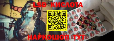 шишки Изобильный