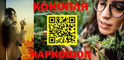 шишки Изобильный