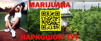 PSILOCYBIN Ирбит
