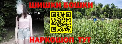шишки Изобильный