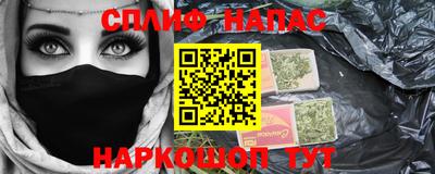 шишки Изобильный