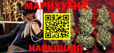 PSILOCYBIN Ирбит