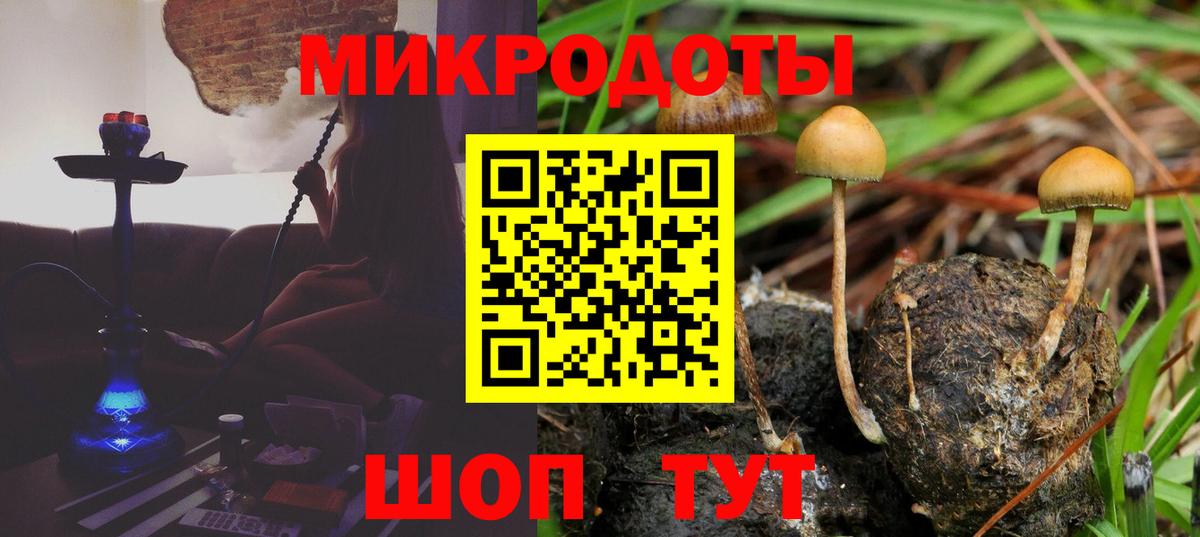 Галлюциногенные грибы GOLDEN TEACHER  Вход с VPN  Псилоцибиновые грибы мухоморы  как найти наркотики  Волхов 