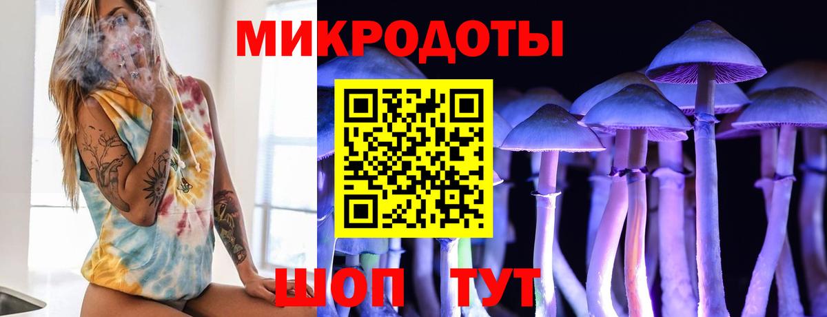 Галлюциногенные грибы прущие грибы Волхов